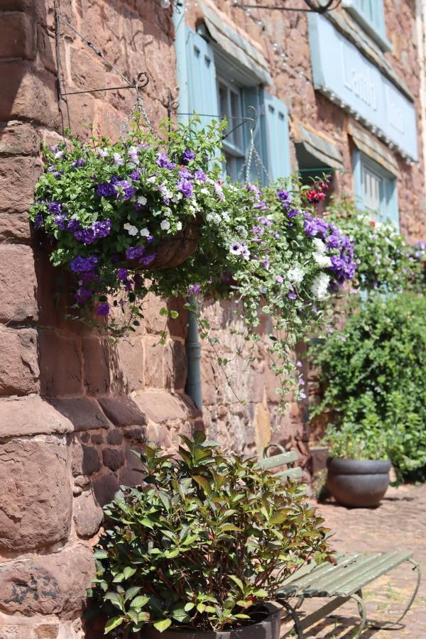 The Lamb Inn Crediton Zewnętrze zdjęcie